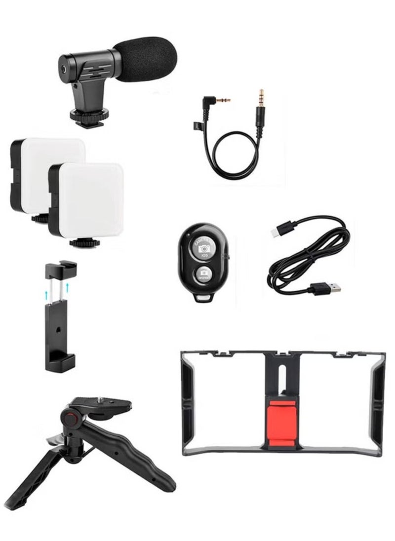 AY-49X Multi-Purpose Adjustable All-In-One Video Making Kit – Includes 2 LED Lights, Grips, and Microphone – Perfect for Vlogging, Live Streaming, and Content Creation