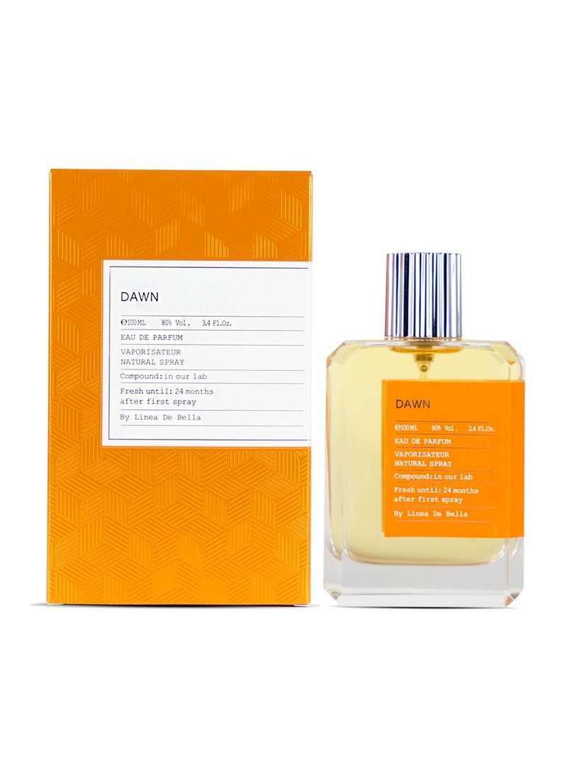 Perfume Collection Dawn 100 ml Luxury Perfume for Men | Long-Lasting Fresh & Woody Fragrance with Citrusy and Earthy Notes