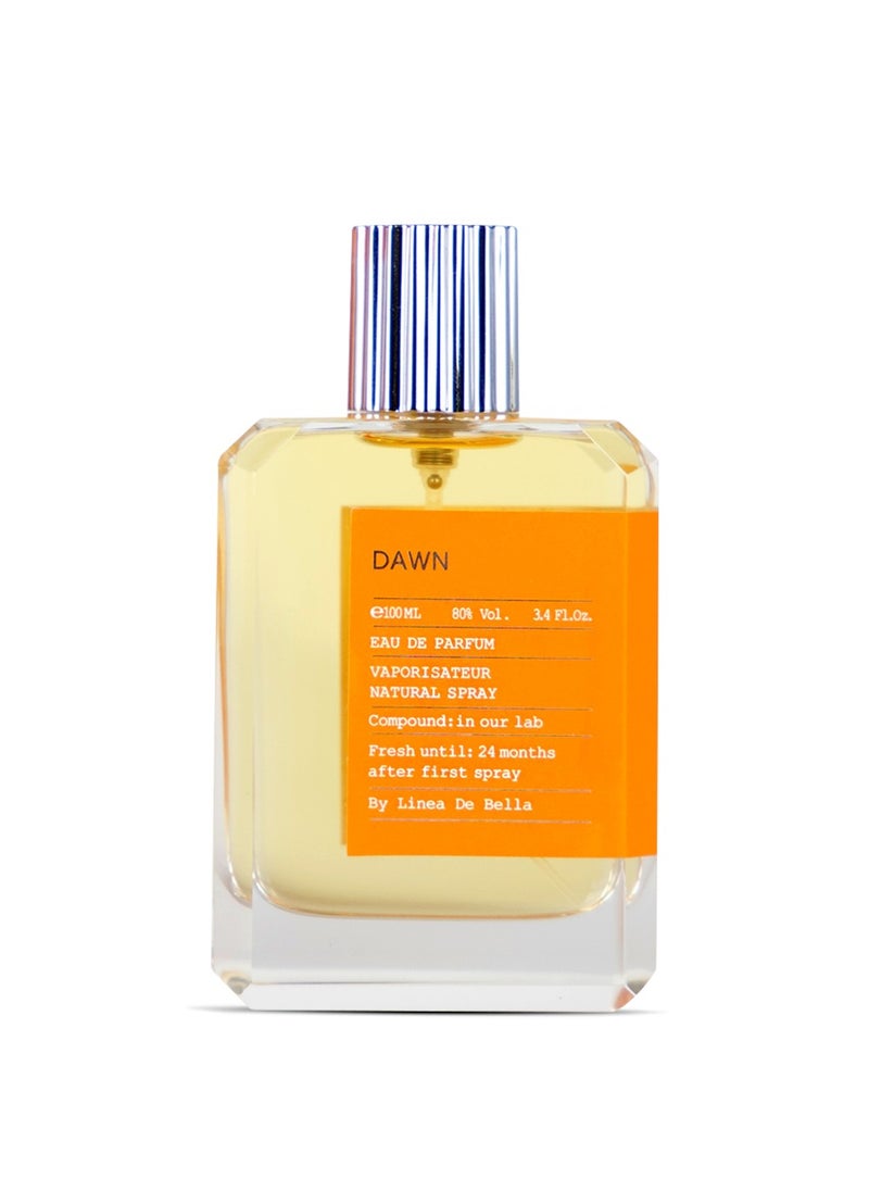 Perfume Collection Dawn 100 ml Luxury Perfume for Men | Long-Lasting Fresh & Woody Fragrance with Citrusy and Earthy Notes