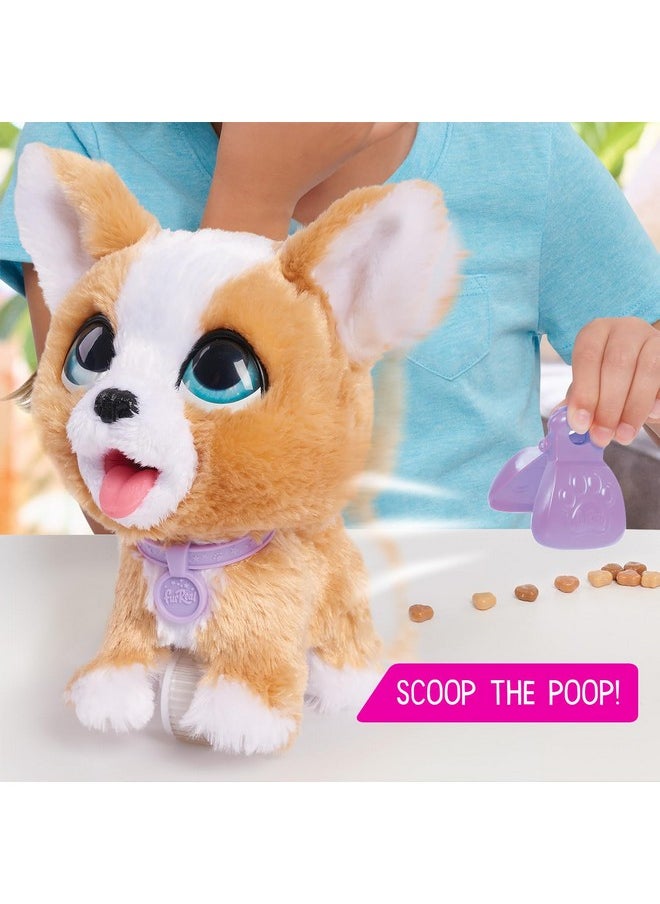 Oop-A-Lots Corgi Interactive 8-Inch Walking Plush Stuffed Animal, Pooping Puppy With Leash, 14-Pieces, Kids Toys For Ages 4 Up By Just Play