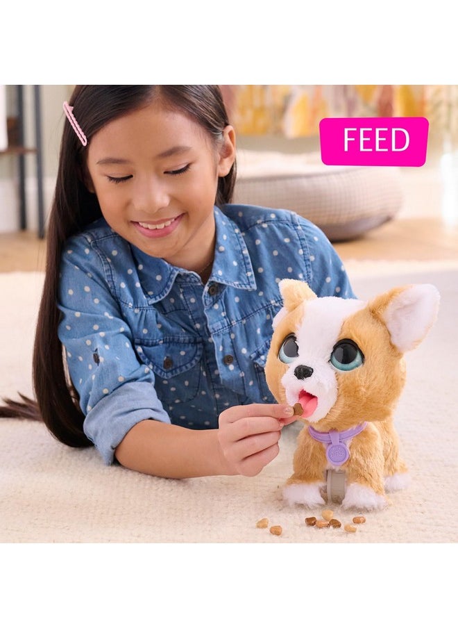 Oop-A-Lots Corgi Interactive 8-Inch Walking Plush Stuffed Animal, Pooping Puppy With Leash, 14-Pieces, Kids Toys For Ages 4 Up By Just Play