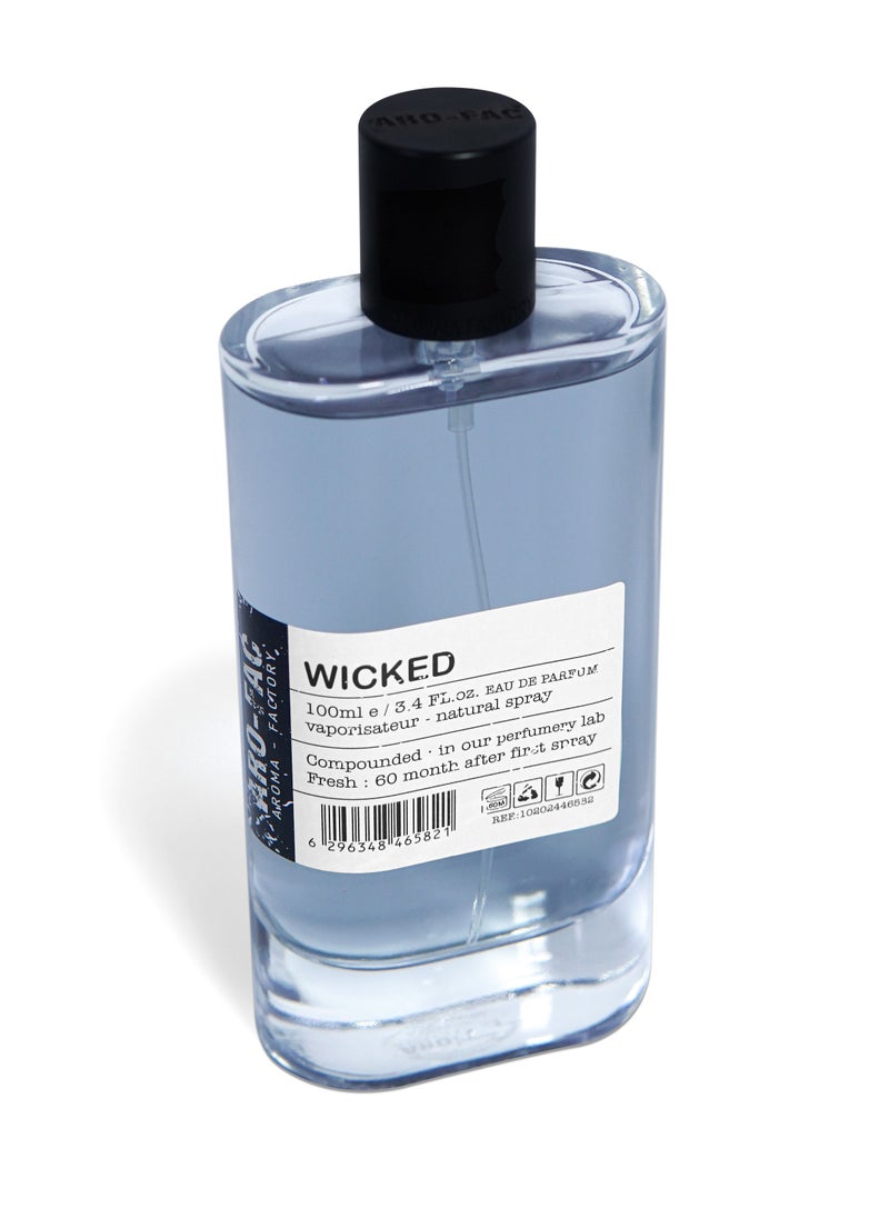 NASTY Collection Wicked Unisex Perfume EDP 100ml