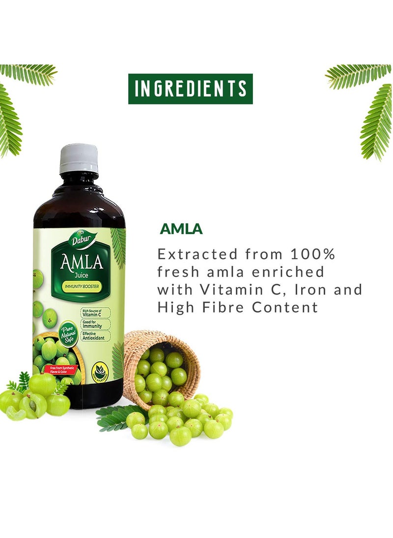 Dabur Amla Juice -1L | Rich Source of Vitamin C | Effective Antioxidants for Immunity boosting | Pure, Natural and 100% Ayurvedic Juice