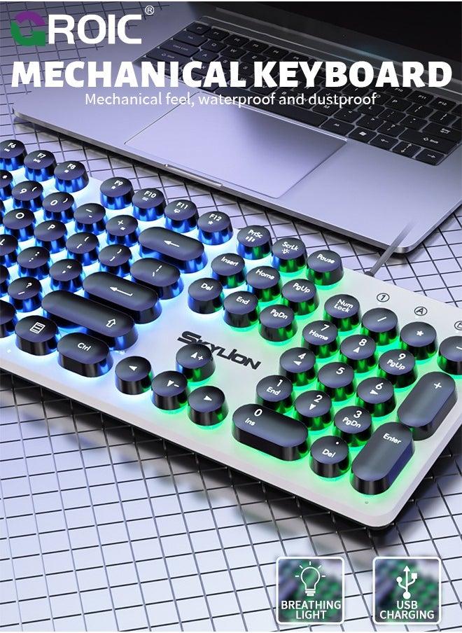 Gaming Keyboard and Mouse Set, LED Backlit Mechanical Feel Business Office Keyboard Colorful Breathing Backlit Gaming Mouse for Working or Primer Gaming, Office Device