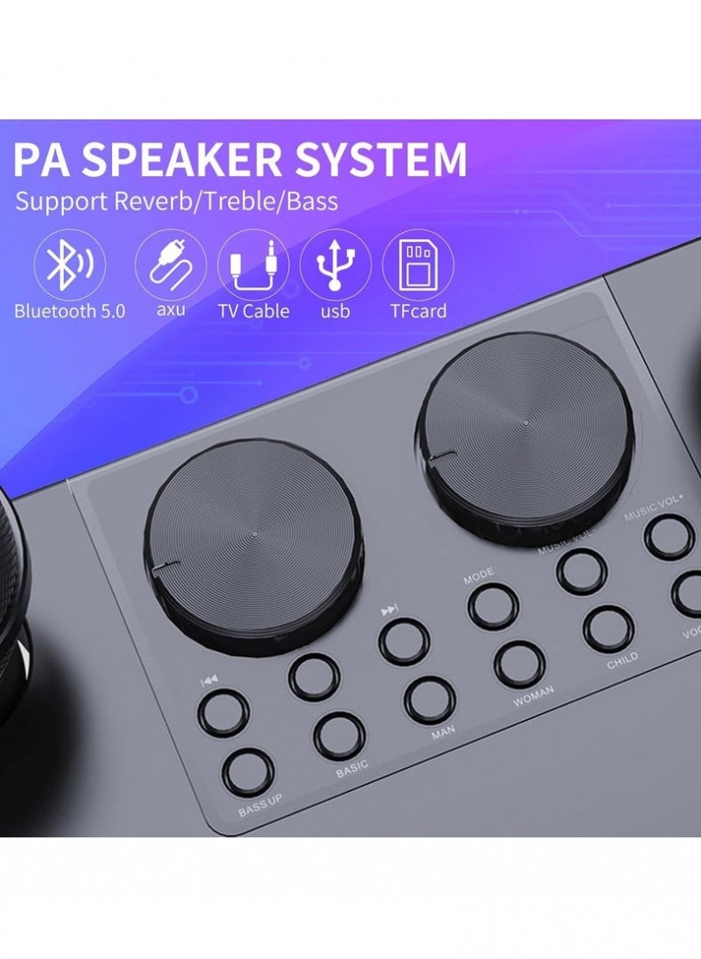 Smart Berry Karaoke Machine Bluetooth Speaker with 2 Wireless Microphones PA System for Indoor Outdoor Party
