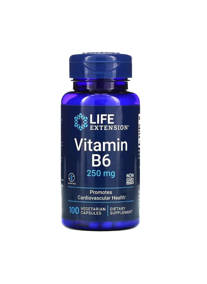 Vitamin B6 250 mg 100 Vegetarian Capsules