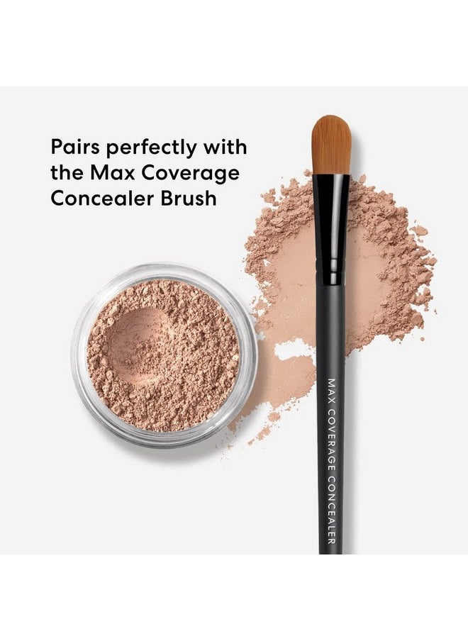 bareMinerals Loose Powder Concealer SPF 20, Mineral-Based Concealer for face, Lightweight Coverage, Conceals Redness + Blemishes, Talc Free, Vegan Concealer