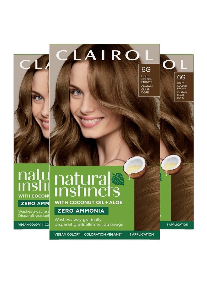 Clairol Natural Instincts Demi-Permanent Hair Dye, 6G Light Golden Brown Hair Color, Pack of 3