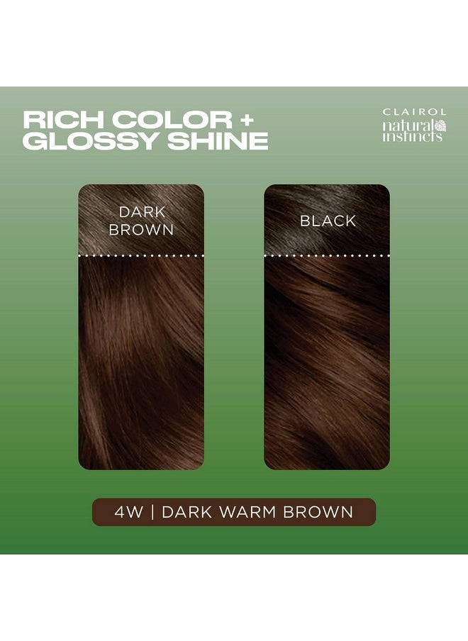 Clairol Natural Instincts Demi-Permanent Hair Dye, 4W Dark Warm Brown Hair Color, Pack of 3