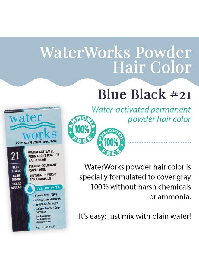 Water Works Powder Hair Color, Permanent, 3 packs (Blue Black)
