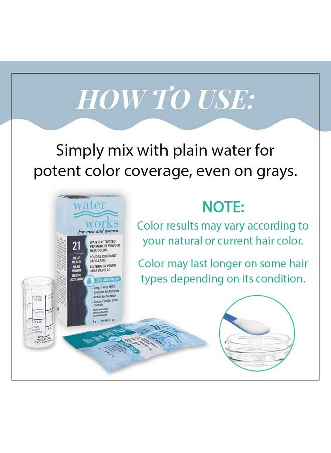 Water Works Powder Hair Color, Permanent, 3 packs (Blue Black)