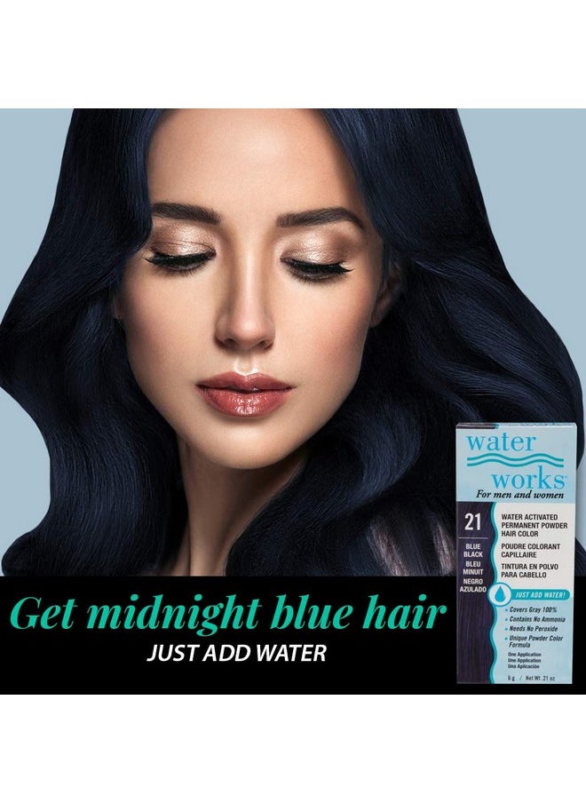 Water Works Powder Hair Color, Permanent, 3 packs (Blue Black)
