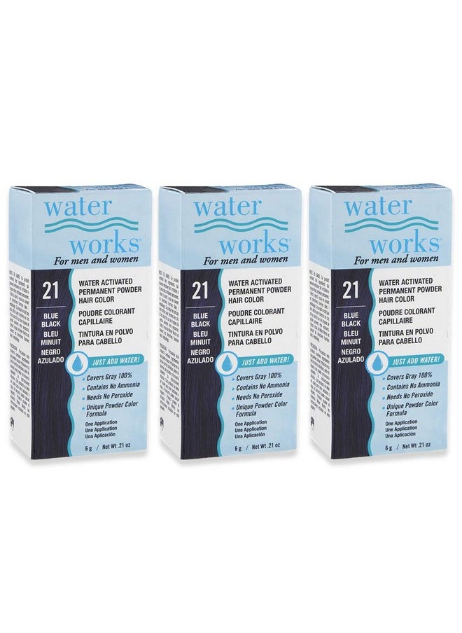 Water Works Powder Hair Color, Permanent, 3 packs (Blue Black)