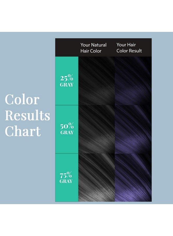 Water Works Powder Hair Color, Permanent, 3 packs (Blue Black)