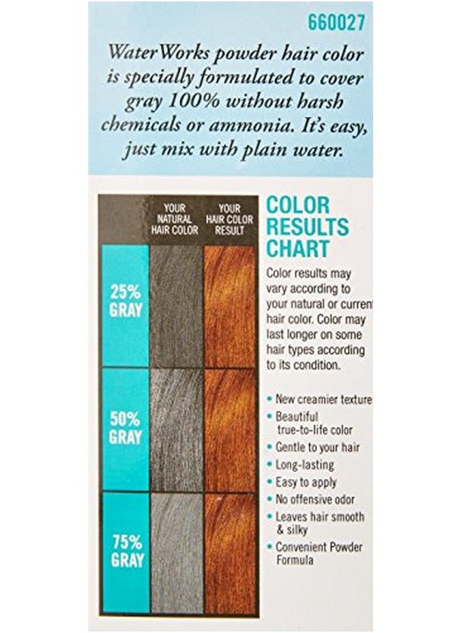 Water Works Water Activated Permanent Powder Hair Color for Men and Women, 27 Natural Light Brown