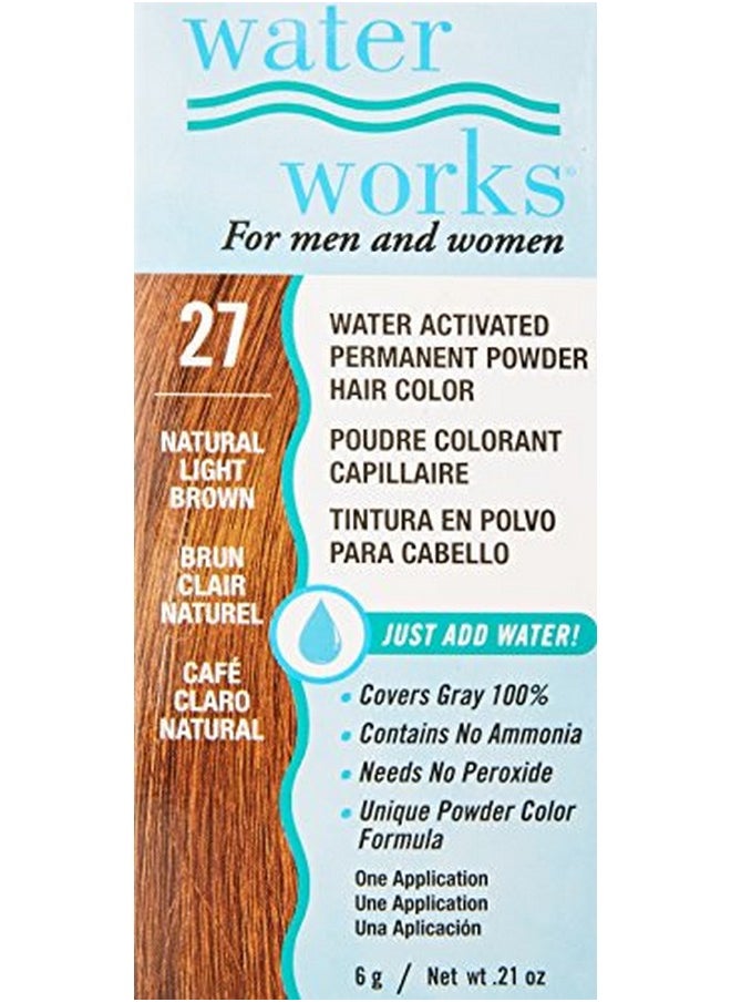 Water Works Water Activated Permanent Powder Hair Color for Men and Women, 27 Natural Light Brown