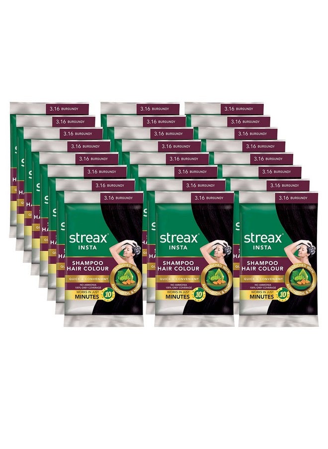 Streax Insta Shampoo Hair Colour For Unisex Enriched With Almond Oil & Noni Extracts, Long-Lasting Instant Colour, 15ml (Pack Of 24) - Burgundy