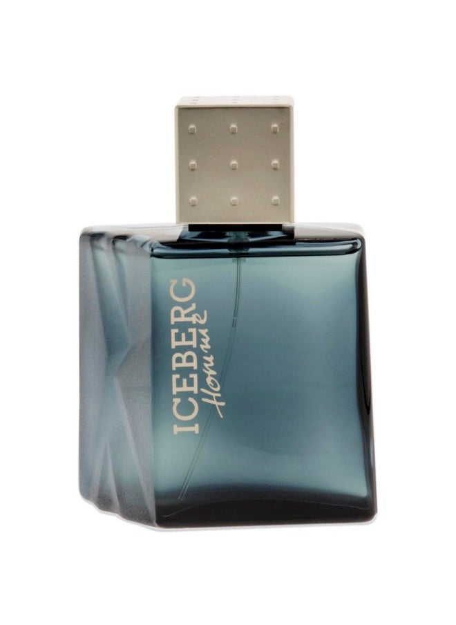 ICEBERG Homme - Aromatic Fougere Fragrance For The Classic Gentleman - Clean And Refreshing EDT Spray Cologne For Men - Fresh Citrus Notes Of Lavender, Lemon, Jasmine, Oakmoss, And Cedar - 3.3 Oz