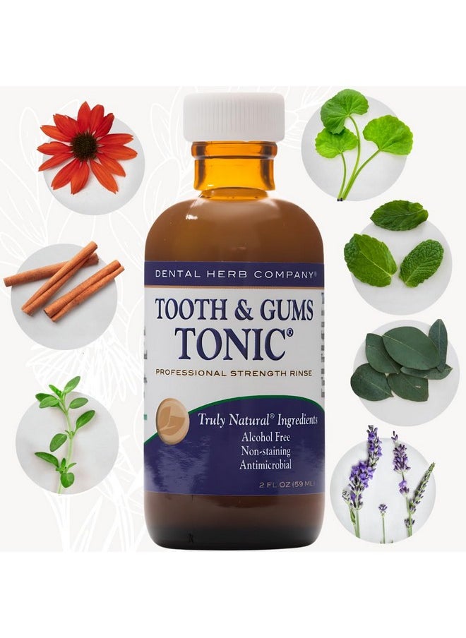 Dental Herb Company - Travel Size - Tooth & Gums Tonic **(2 FL OZ.)**