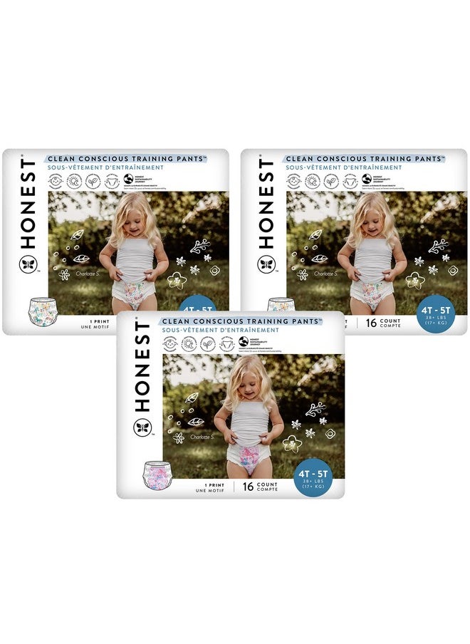 The Honest Company Clean Conscious Training Pants | Plant-Based, Sustainable Diapers | Magical Moments + Butterfly Kisses | Size 4T/5T (38+ lbs), 48 Count