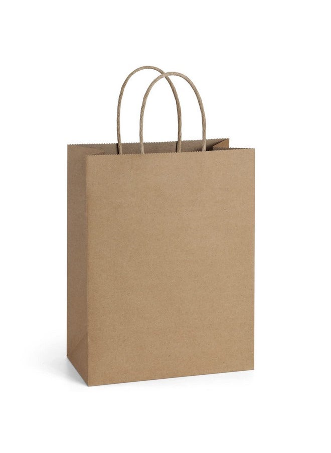 BagDream Gift Bags 8x4.25x10.5 25Pcs Kraft Paper Bags, Shopping Bags, Merchandise Retail Grocery Bags, Brown Paper Gift Bags Bulk with Handles 100% Recyclable Paper Bags Sacks