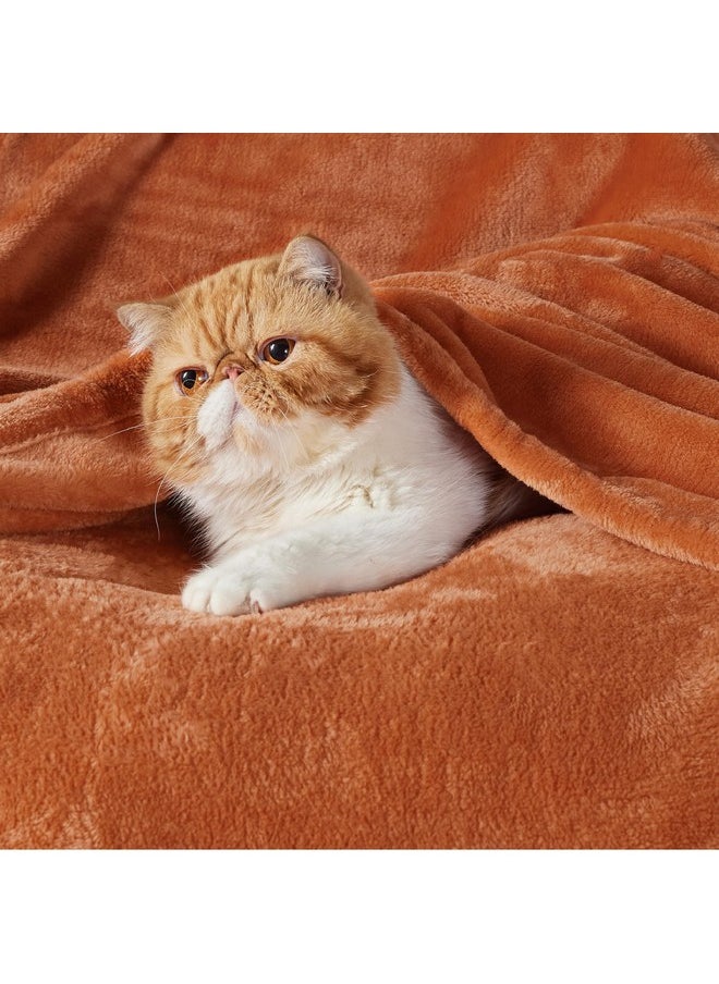 Bedsure Burnt Orange Throw Blankets Fleece Blanket Throw Blanket Mango - 300GSM Soft Lightweight Plush Cozy Blankets for Bed, Sofa, Couch, Travel, Camping