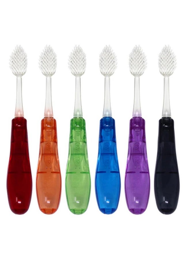 RADIUS Tour Travel Brush & Case with Replaceable Brush Head ADA Accepted Toothbrush Improve Gum Health - Assorted Colors - Pack of 6