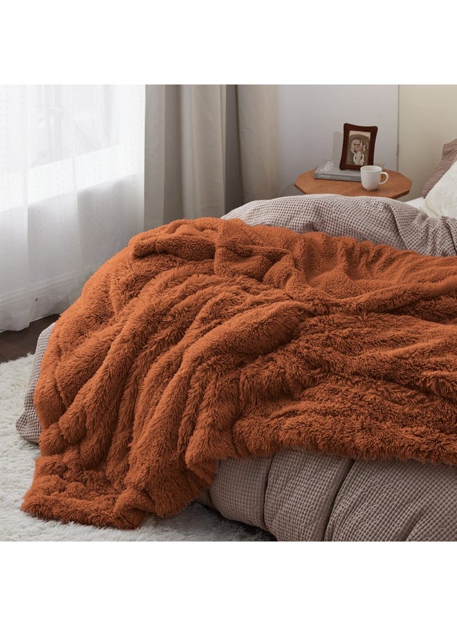 Bedsure Soft Burnt Orange Blankets Queen Size for Bed, Fluffy Fuzzy Blankets for Full Queen Bed, Cozy Plush Sherpa Fleece Faux Fur Blanket for Winter, Thick Warm Blanket Gifts for Women, Men, 90x90