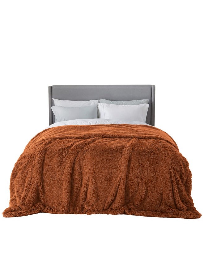 Bedsure Soft Burnt Orange Blankets Queen Size for Bed, Fluffy Fuzzy Blankets for Full Queen Bed, Cozy Plush Sherpa Fleece Faux Fur Blanket for Winter, Thick Warm Blanket Gifts for Women, Men, 90x90