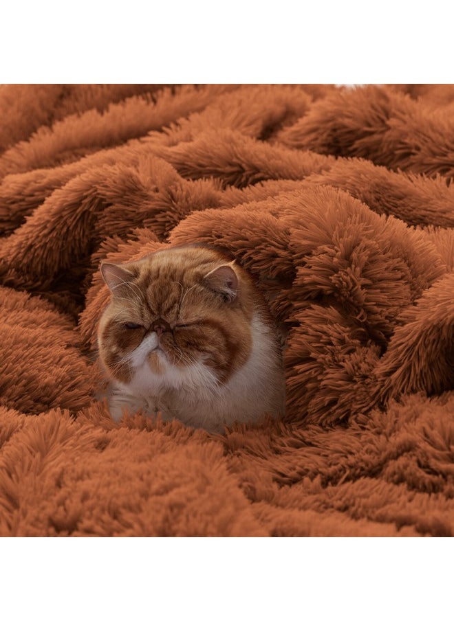Bedsure Soft Burnt Orange Blankets Queen Size for Bed, Fluffy Fuzzy Blankets for Full Queen Bed, Cozy Plush Sherpa Fleece Faux Fur Blanket for Winter, Thick Warm Blanket Gifts for Women, Men, 90x90