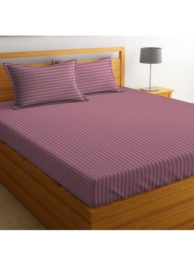 BSB HOME 210 Tc Premium Glace Cotton Striped/Lining Plain Bedsheet For Double Bed King Size With 2 Pillow Covers For Home-Hotels-Guest House-Bargandi, Purple