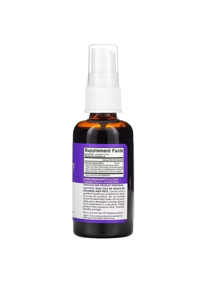 Elderberry Sambucus Complex Liquid Spray 1040 mg 2 fl oz 60 ml