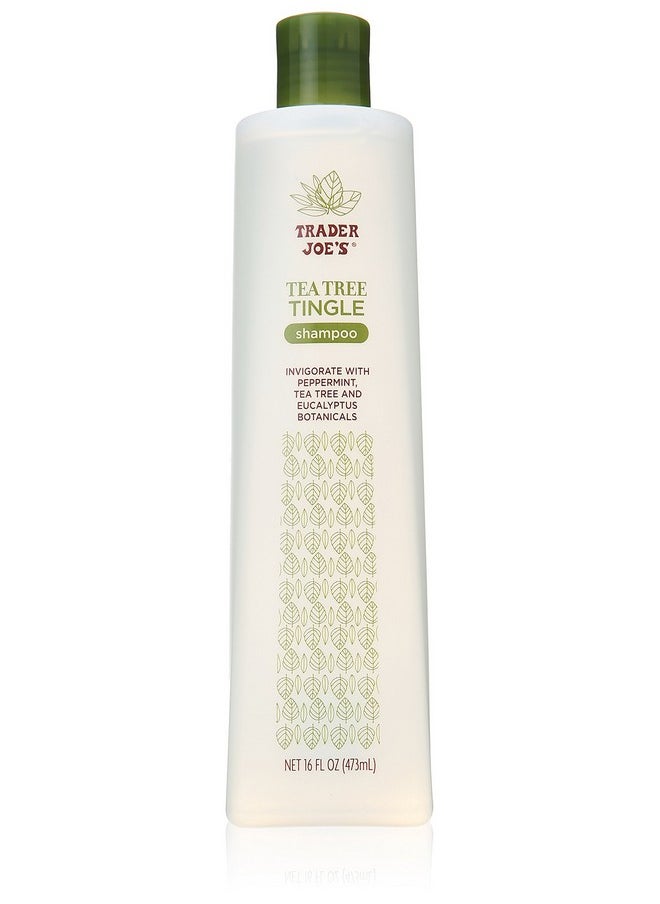 Trader Joes Tea Tree Tingle Shampoo with Peppermint, Tea Tree and Eucalyptus Botanicals (Pack of 2)