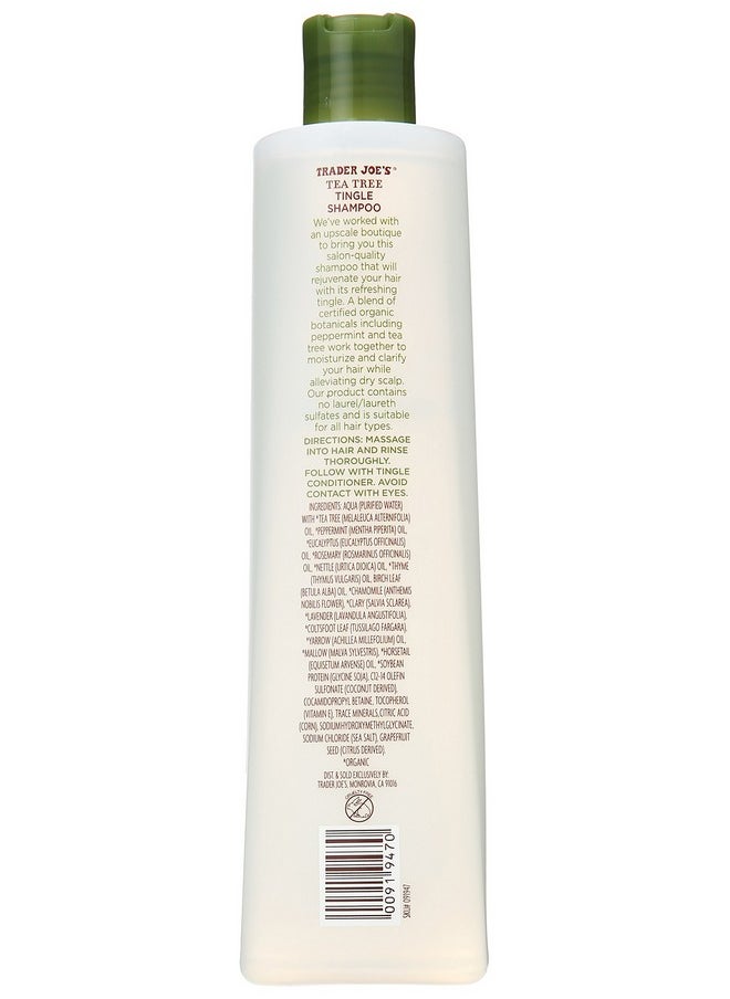 Trader Joes Tea Tree Tingle Shampoo with Peppermint, Tea Tree and Eucalyptus Botanicals (Pack of 2)
