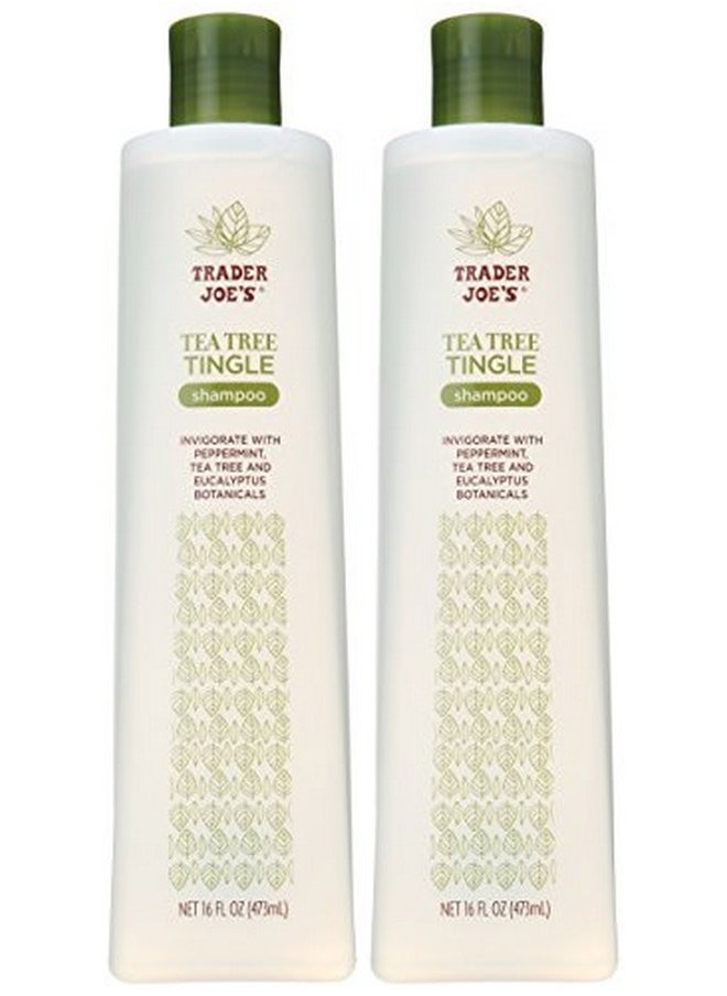 Trader Joes Tea Tree Tingle Shampoo with Peppermint, Tea Tree and Eucalyptus Botanicals (Pack of 2)