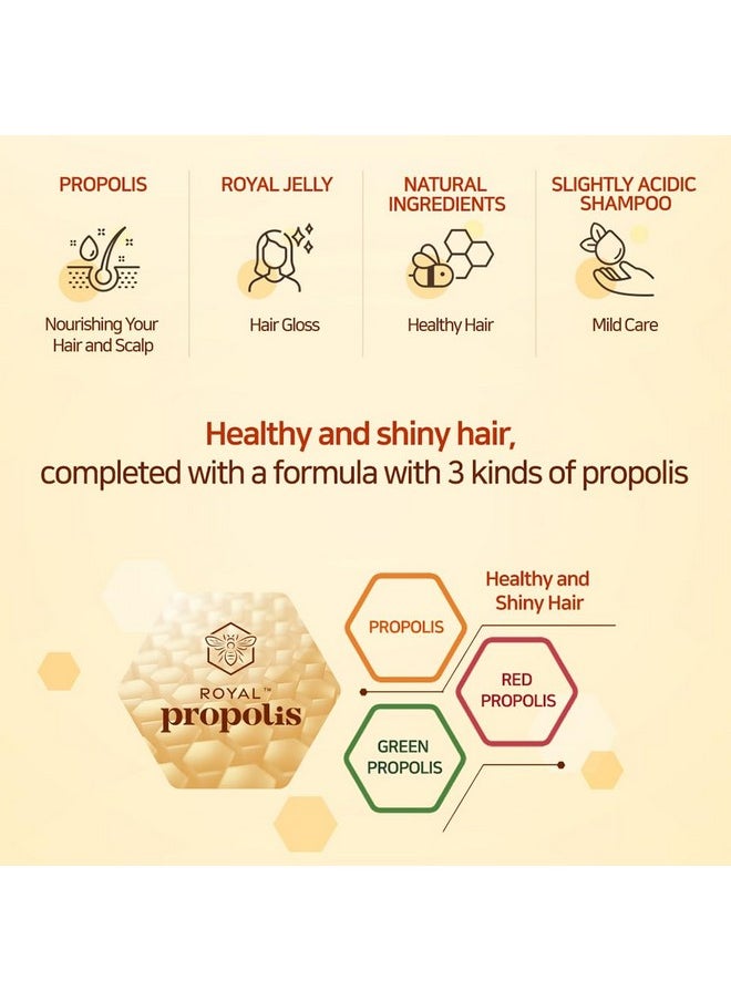 Propolis Royal Jelly Extract Rosehip Oil Rose Water Shiny And Healthy Hair Propolis Red Volume 33.8 Fl Oz / 1L (Shampoo, 1-Pack)