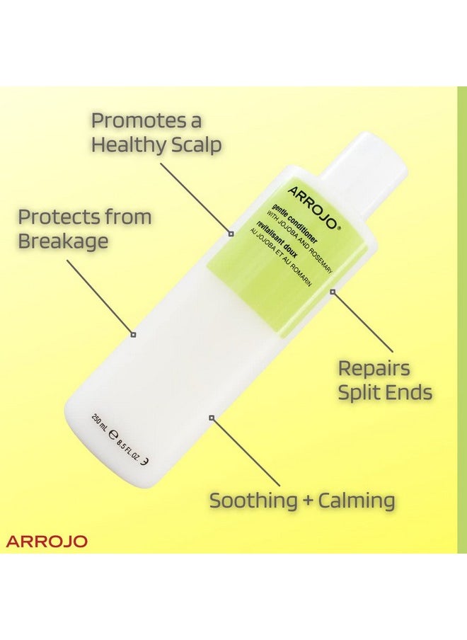 Arrojo Gentle Hair Conditioner - Gentle Conditioner to Add Luster, Shine & Moisture - Paraben & Sulfate Free Conditioner w/ Vitamin B5, Avocado Oil - Lightly Scented Cleansing Conditioner