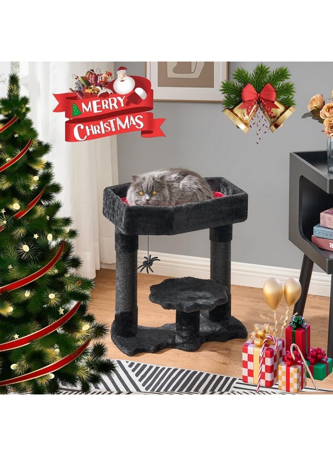 BEWISHOME Gothic Cat Tree with Coffin Bed, Goth Cat Tower for Indoor Cats with Sisal Scratching Posts, Spider Toy, Spooky Coffin Cat Tree for Black Cats Halloween, Black with Red, Small Size MMJ91R