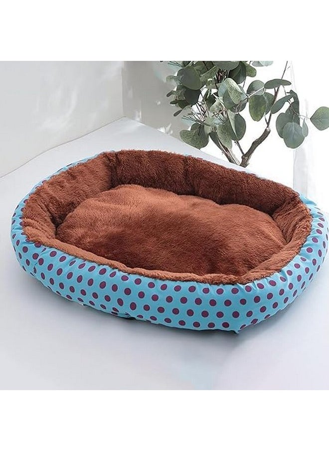 Petvit Dog Bed | Dog Bed Medium Size | Pet Bed for Dogs | Puppy Bed | Removable Bed for Dog | Raised Edged Pillow | Blue & Coffee | Medium |