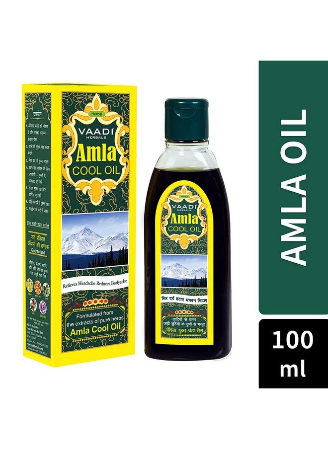 Vaadi Herbals Shiny Hair Gift Pack, 430g