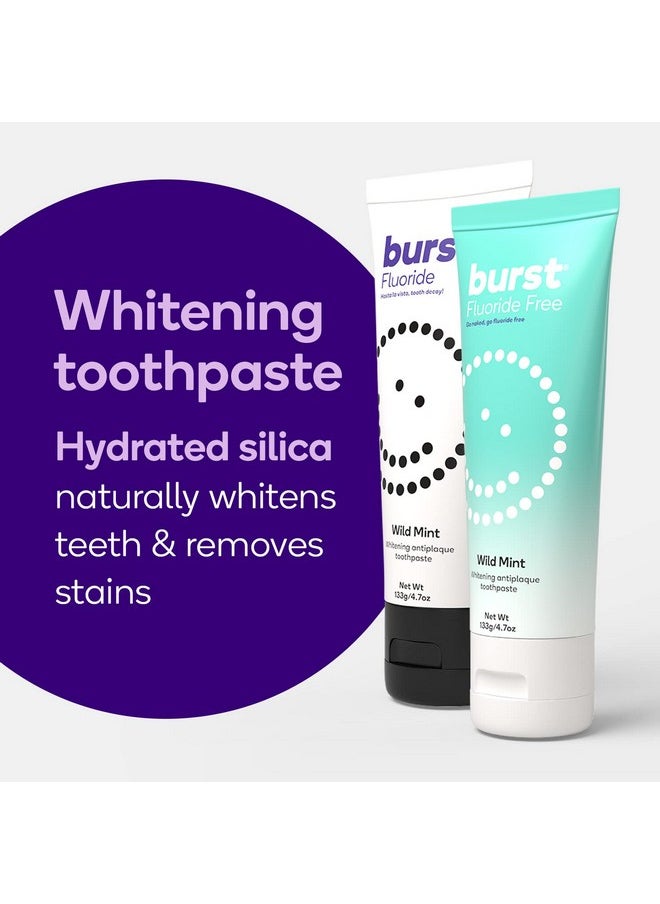 BURST Fluoride Free Toothpaste - Whitening Toothpaste for Stain Removal - Sensitive Toothpaste with Xylitol - Vegan, Gluten Free, SLS Free Toothpaste - Wild Mint, 4.7oz (2 Pack)