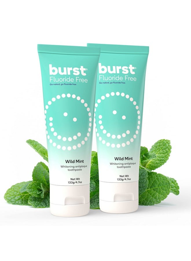 BURST Fluoride Free Toothpaste - Whitening Toothpaste for Stain Removal - Sensitive Toothpaste with Xylitol - Vegan, Gluten Free, SLS Free Toothpaste - Wild Mint, 4.7oz (2 Pack)