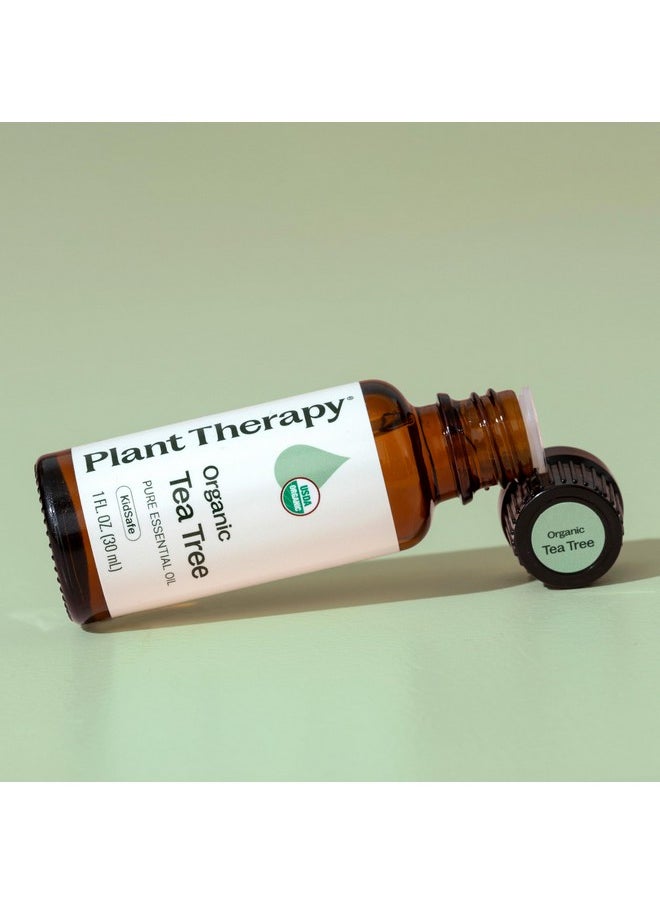 Plant Therapy Organic Tea Tree Oil (Melaleuca) 100% Pure, USDA Certified Organic, Undiluted, Natural Aromatherapy, Therapeutic Grade 30 mL (1 oz)