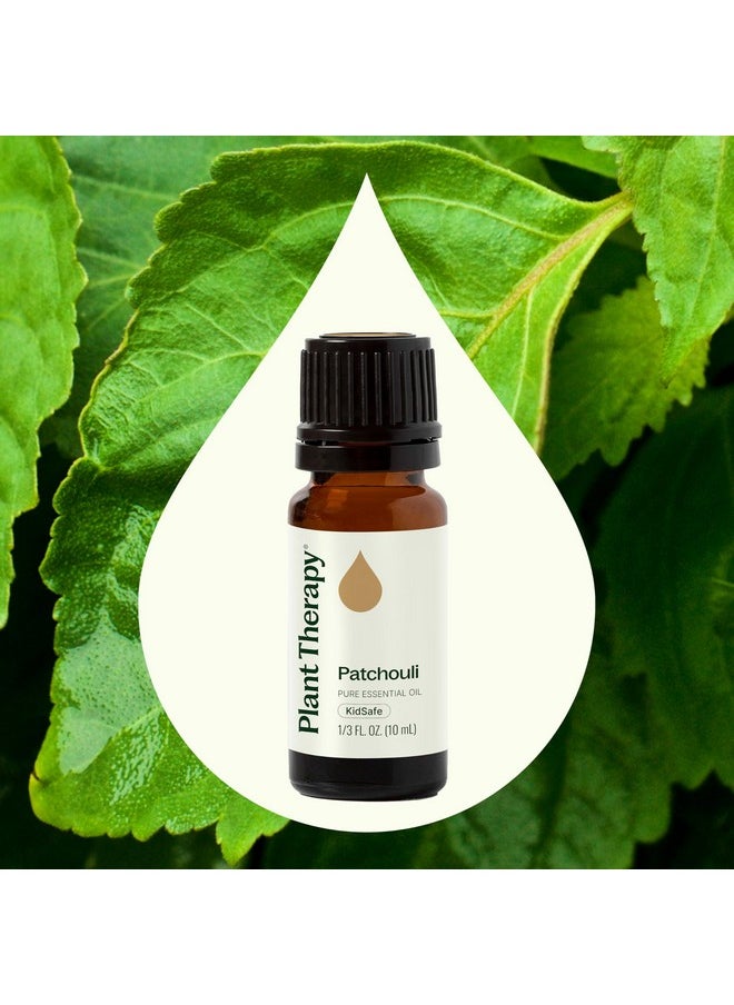 Plant Therapy Patchouli Essential Oil 100% Pure, Undiluted, Natural Aromatherapy, Therapeutic Grade 10 mL (1/3 oz)