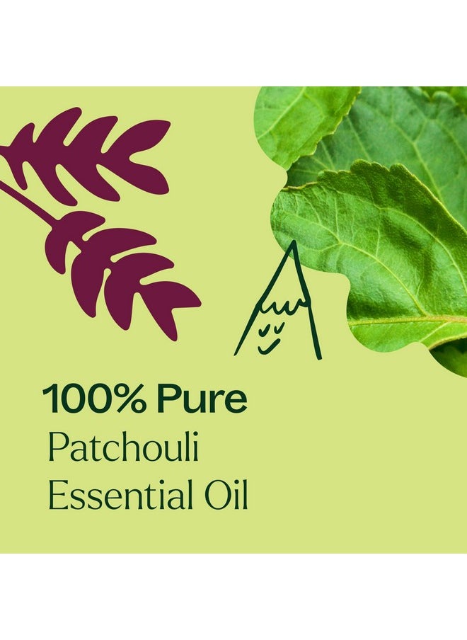 Plant Therapy Patchouli Essential Oil 100% Pure, Undiluted, Natural Aromatherapy, Therapeutic Grade 10 mL (1/3 oz)