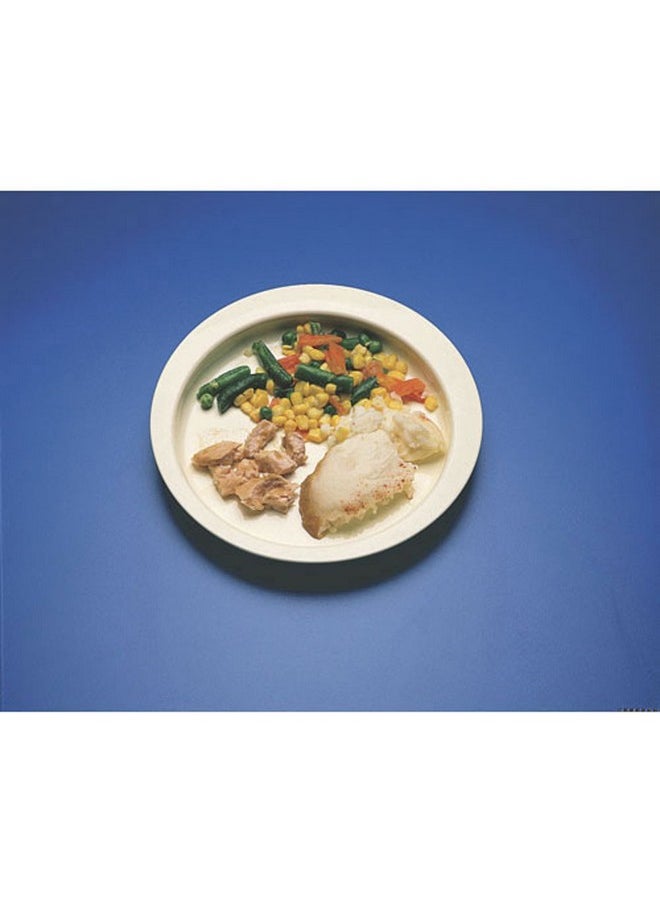 SP Ableware Round-Up Dinner Plate with High Wall - White (745290001)