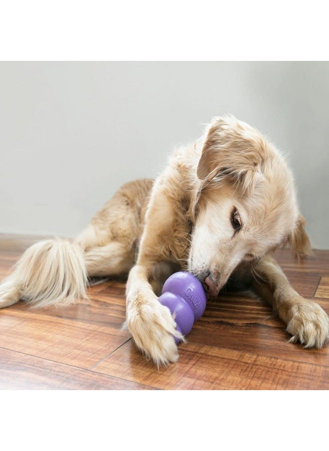 KONG Senior - Dog Toy with Gentle, Natural Rubber - Durable Dog Toy for Older Dogs - Use Treats with Stuffable Chew Toy - Treat Toy for Chewing & Fetching - for Medium Dogs