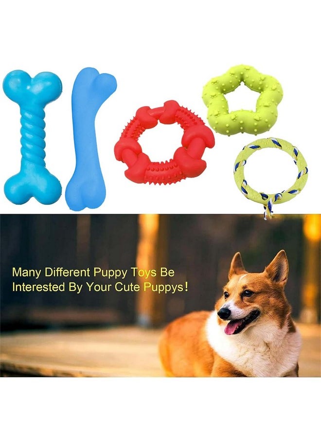 emily pets Dog Chew Toys Set, Chew Toys for Dog, Rubber Chew Toy Combo (Color May Vary, Pack of 5)