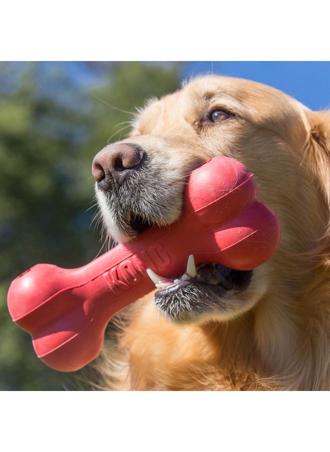 KONG Goodie Bone - Classic Durable Natural Rubber Dog Bone, Supports Mental Engagement - Treat Dispensing - Red - for Small Dogs