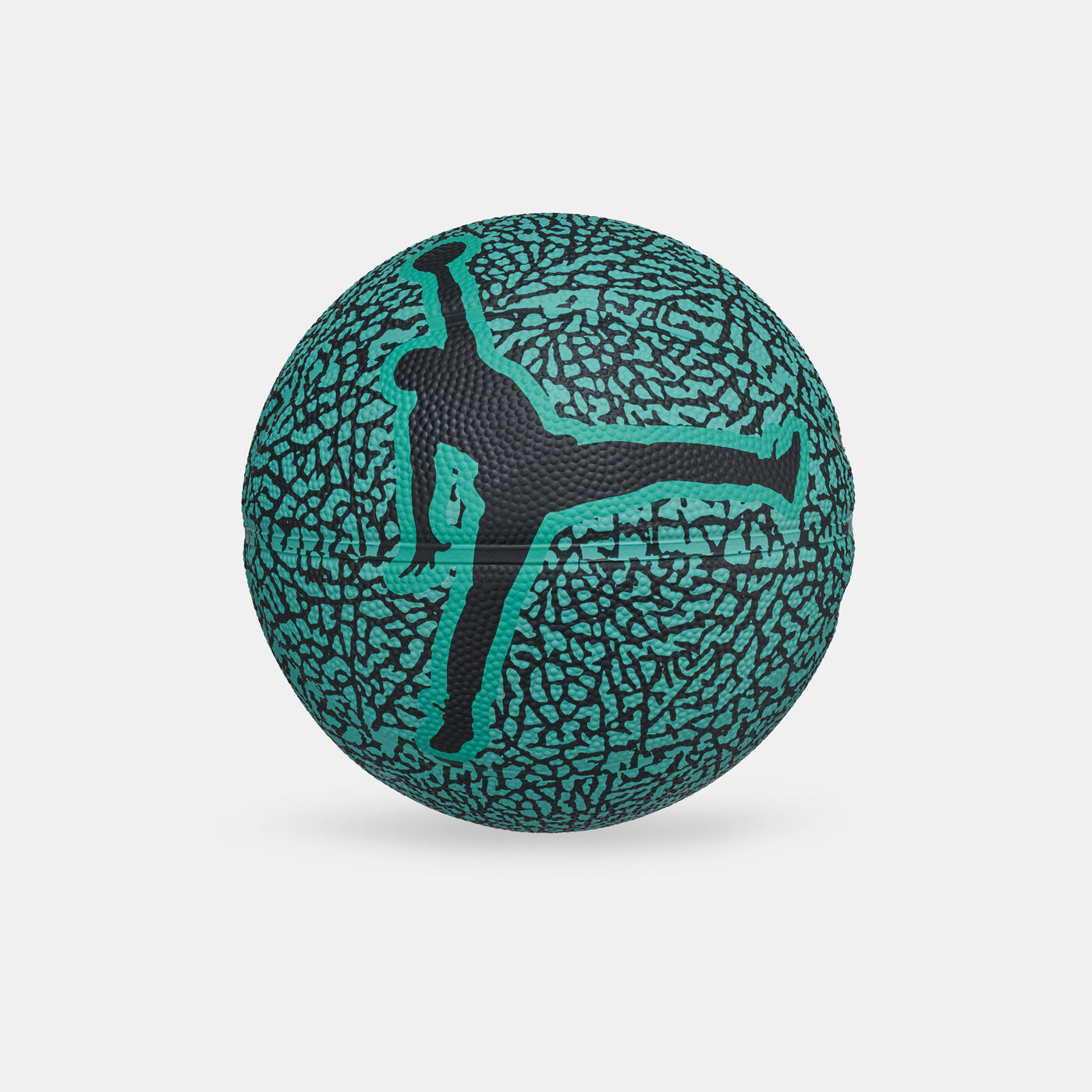 Skills 2.0 Graphic Mini Basketball